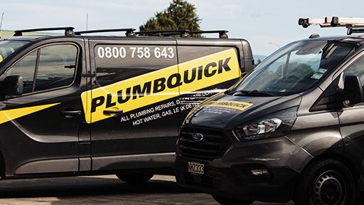 Professional Petone Plumbers